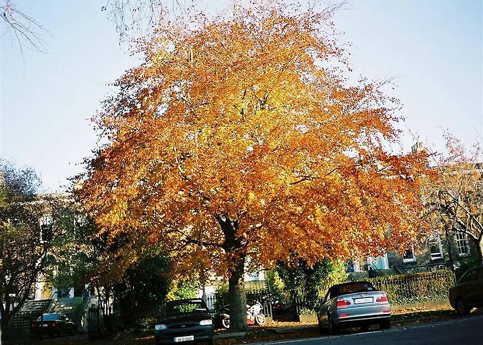 Отель Waterloo Дублин