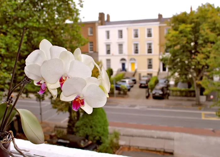 酒店 滑铁卢酒店